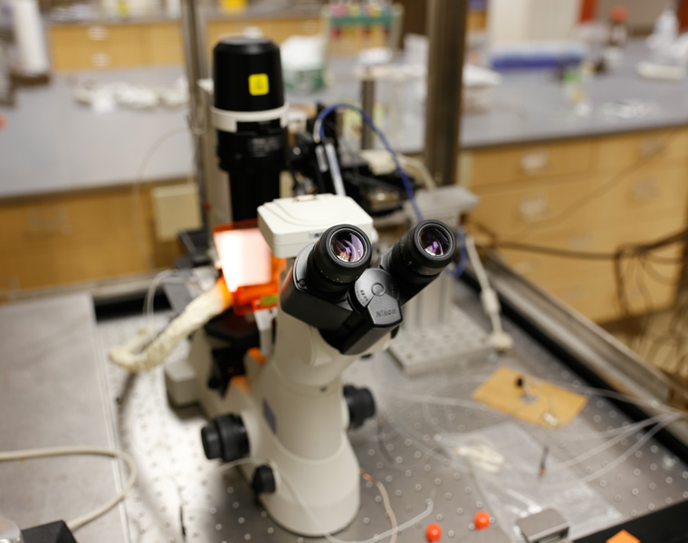 Microscope