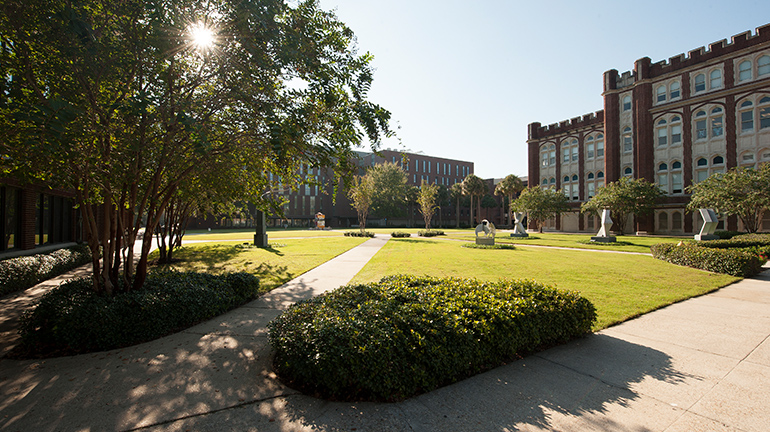 Campus in morning with shadow of tree over lawn
