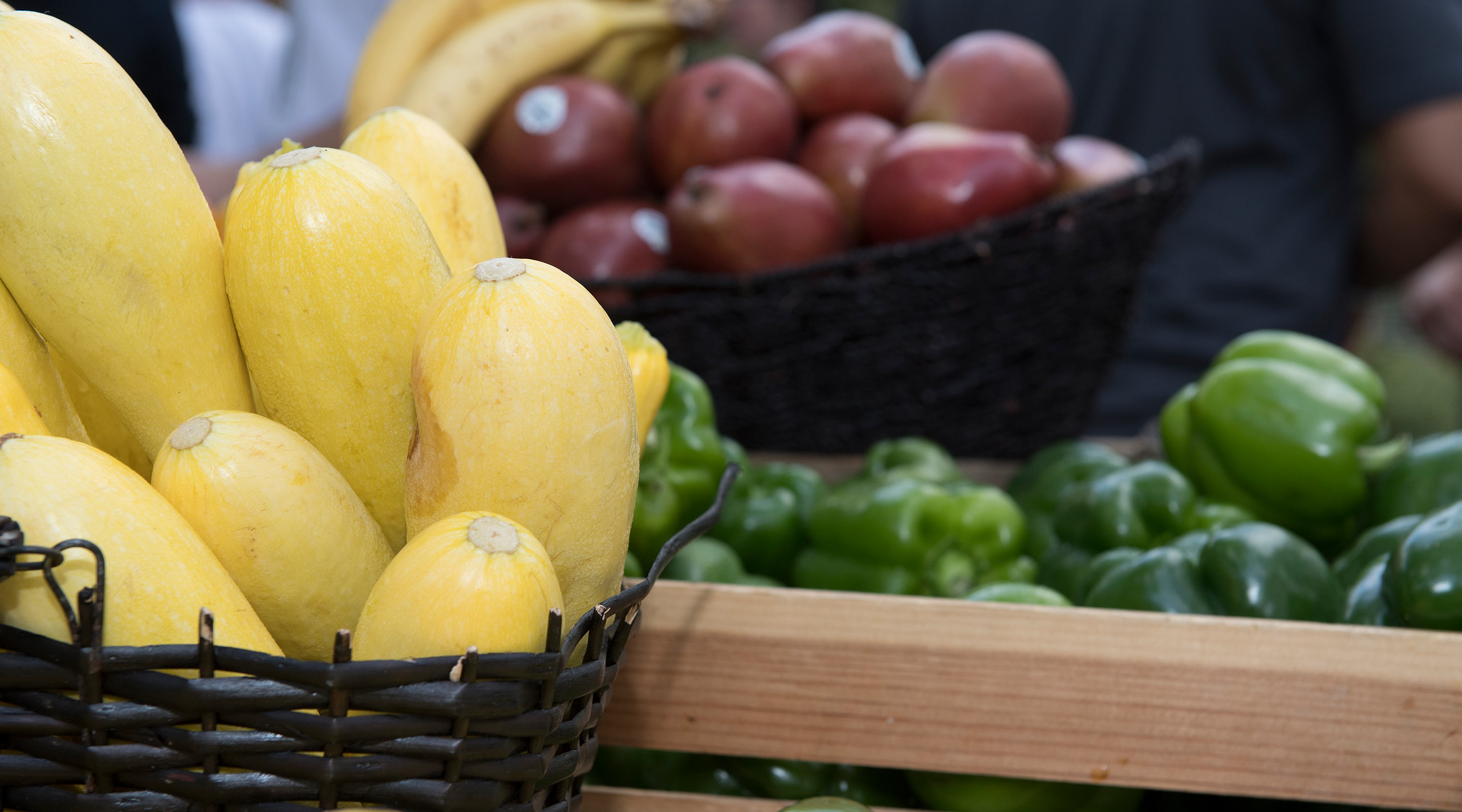 Vegetables from Farmer's Market