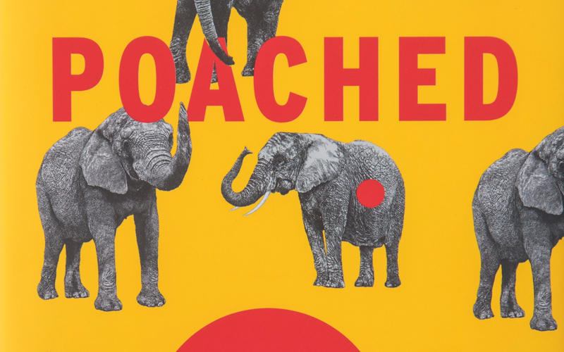 Cover art of Poached book