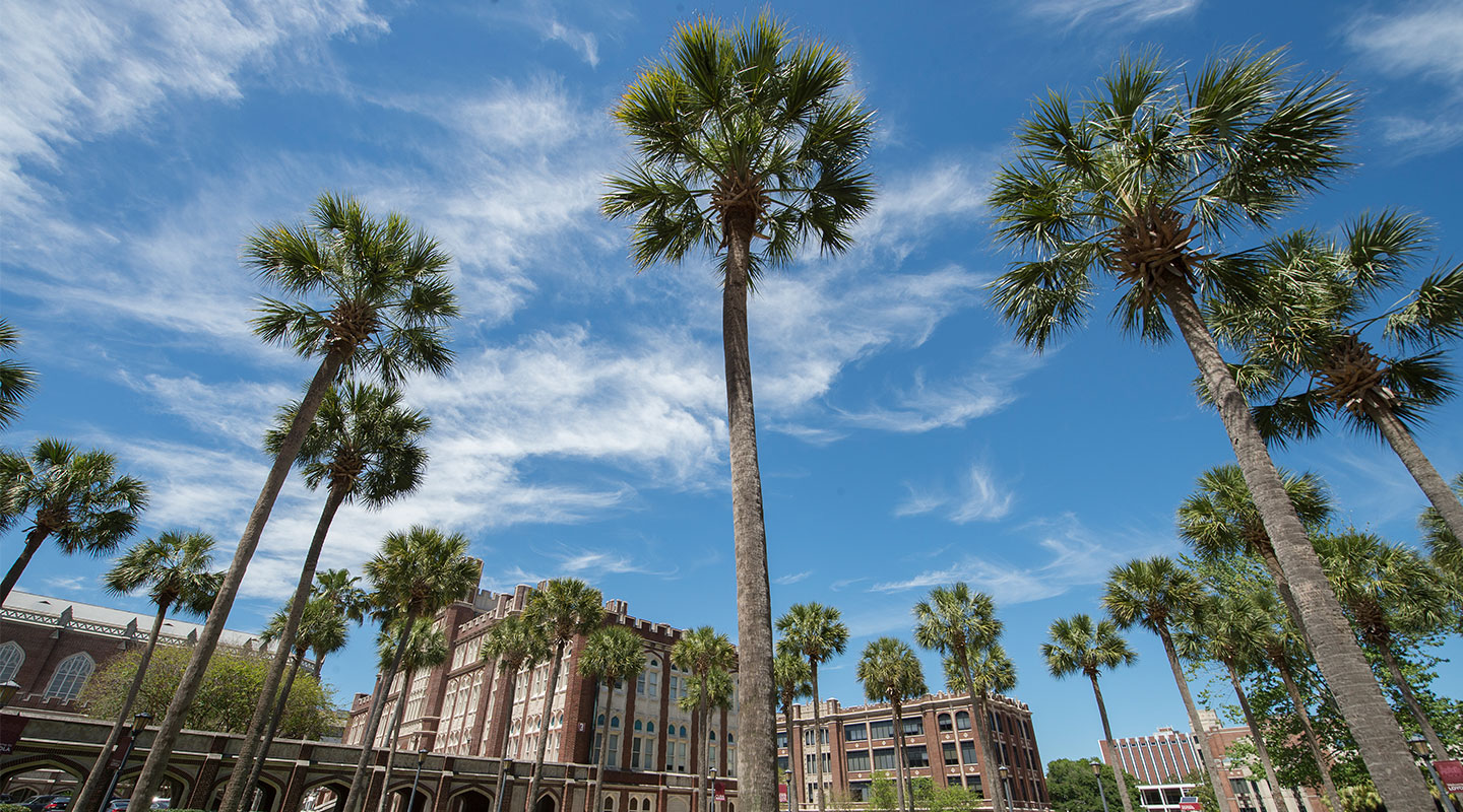 Palm trees outside Loyola University New Orleans