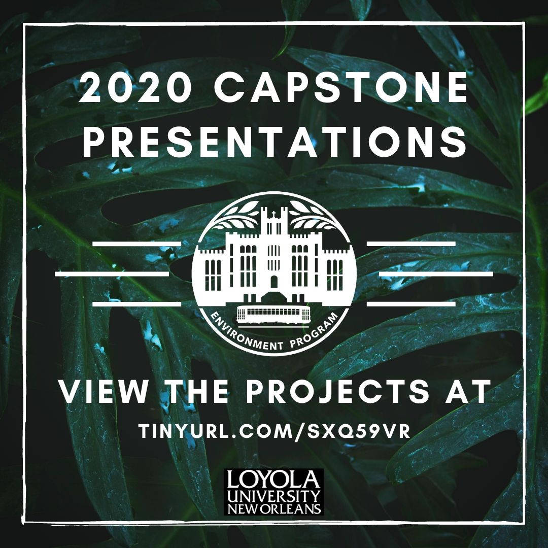 2020 Capstone