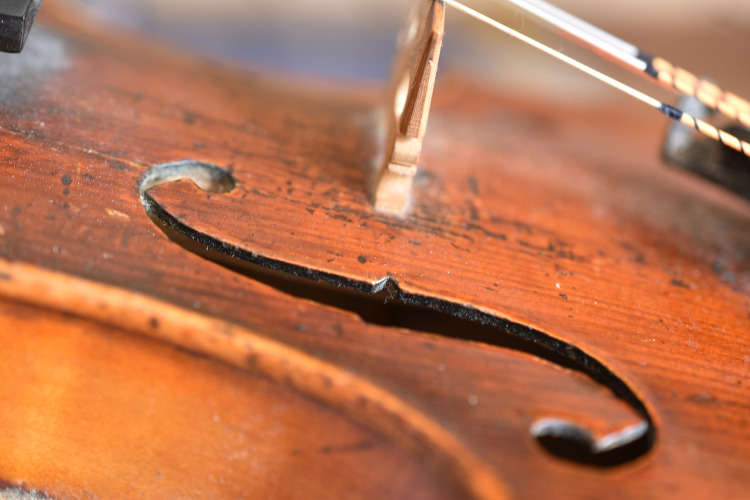 violin