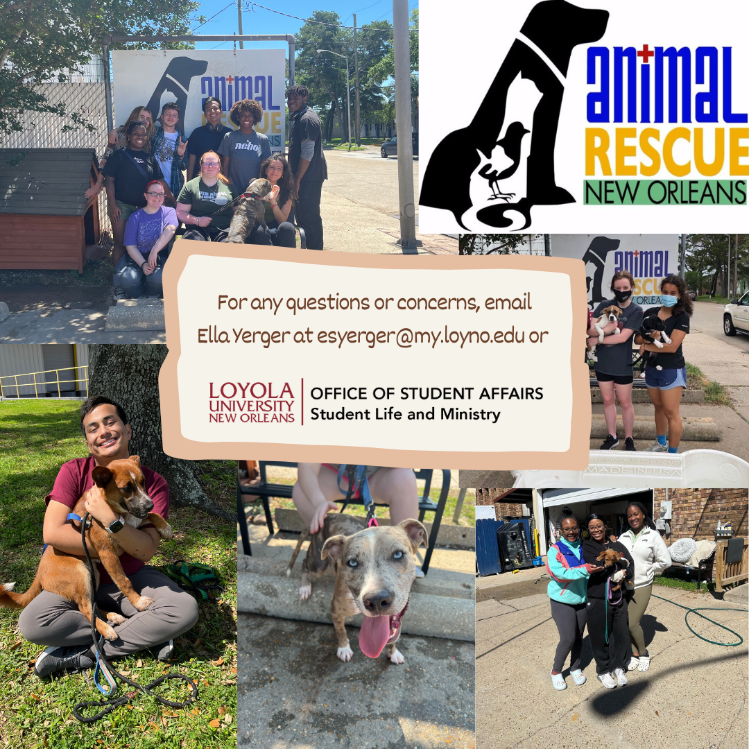PAWS Service ProjectWe’re teaming up with the New Orleans Animal Rescue for a heartwarming service project that lets you give back with love and care. Whether you’re an animal lover or just looking for a meaningful way to volunteer, this is the perfect opportunity to roll up your sleeves and make a real impact in the lives of rescued animals.