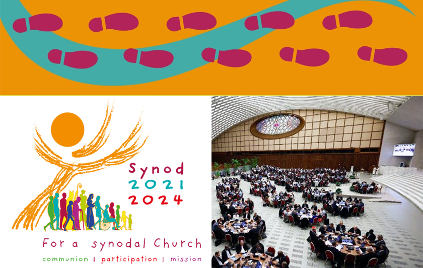 livestream from the synod in Rome