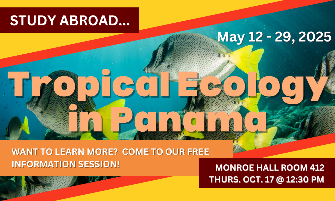 Poster with date and time for the info session, in white and orange text, overlaid on top of a picture of colorful fish swimming in a barrier reef like the one students will explore in Panama..