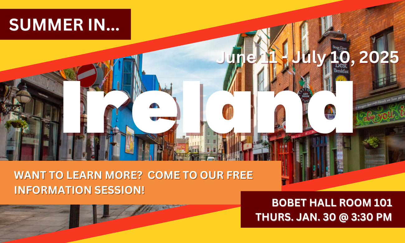 Poster with date and time for the interest meeting in white text against a picture of the streets of Dublin. The viewer stands near the middle of the road to get a view of brick townhouses, some of which are vibrantly painted white or blue, and many of which have red or green storefronts on their ground floors.