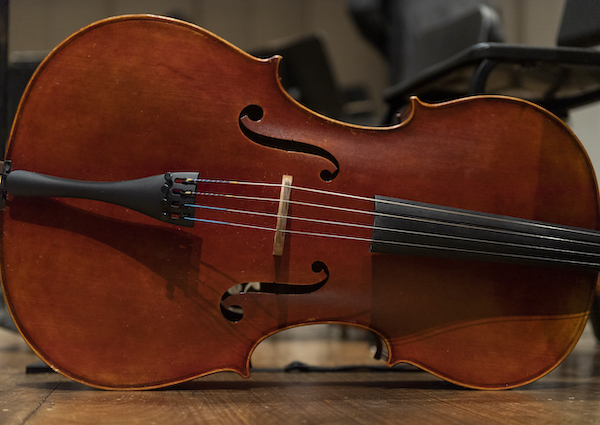 Double Bass elegantly displayed