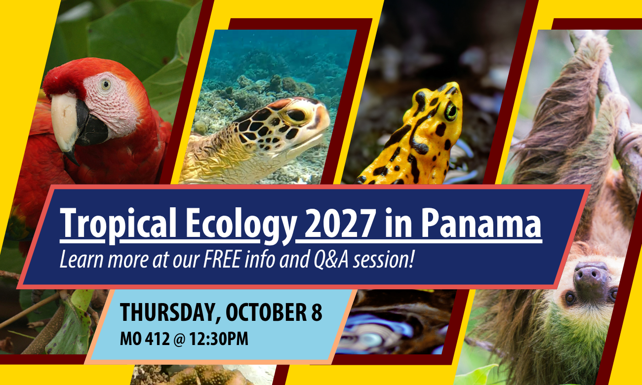 Tropical ecology in Panama in Spring 2027!