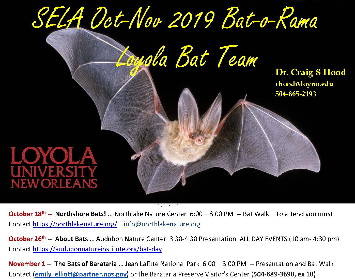 bat-o-rama