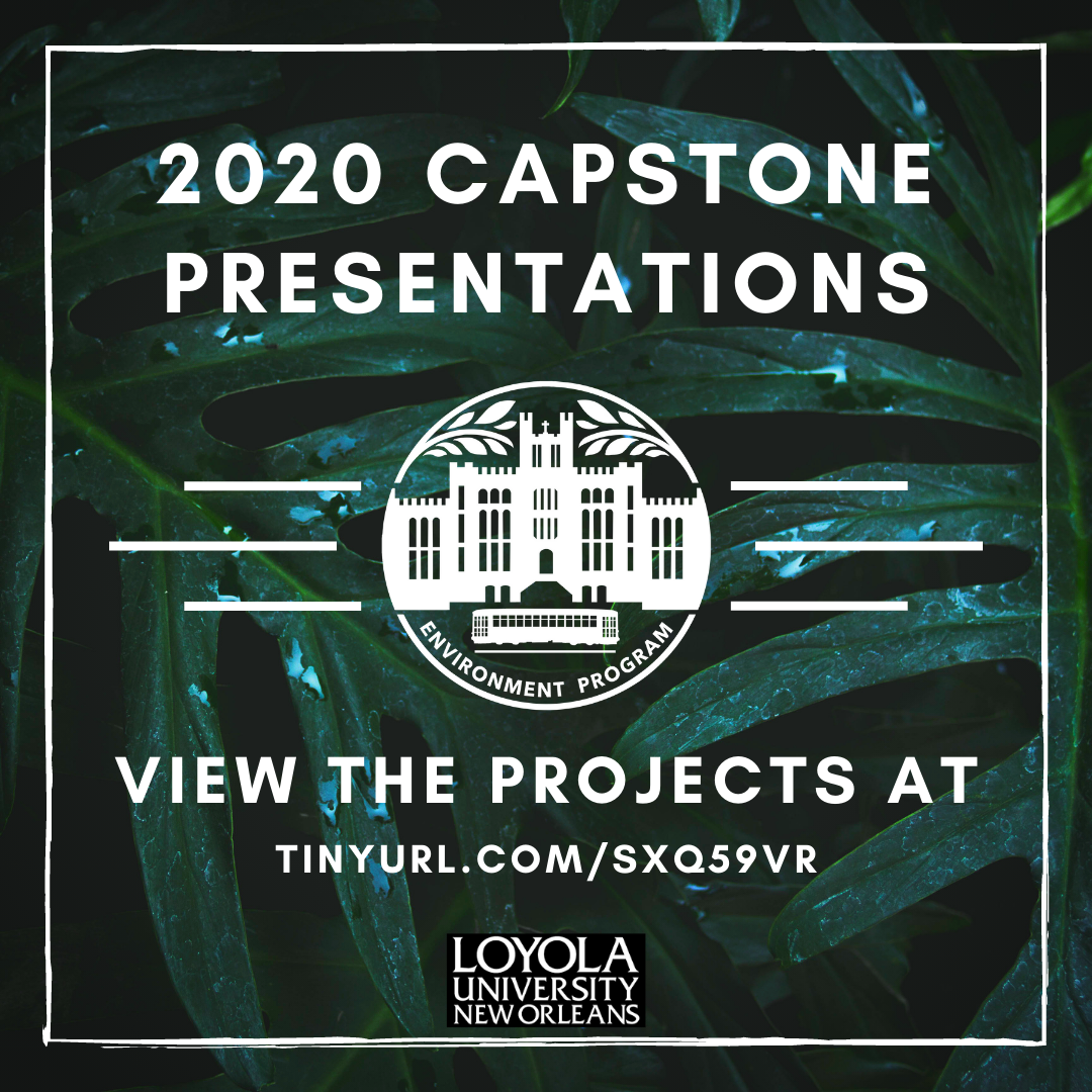 Environment Program Capstone
